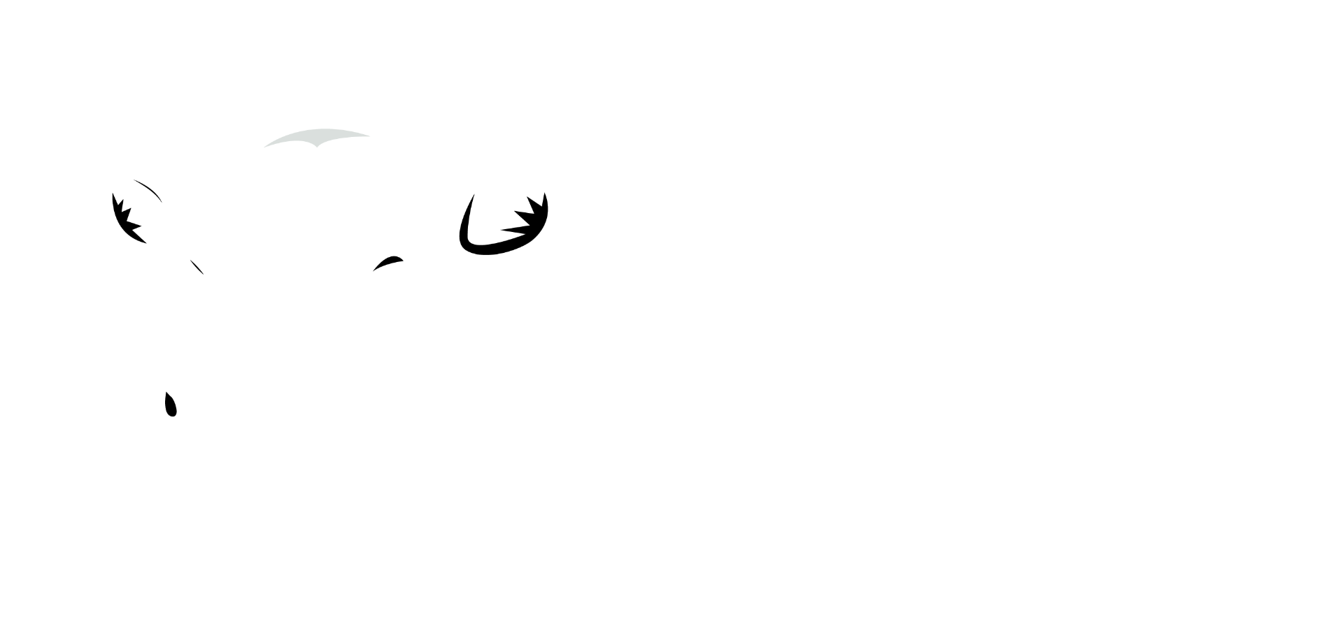 Ngobe Capital & Advisory